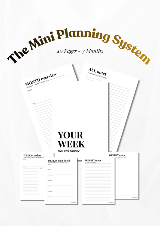 The Mini Planning System