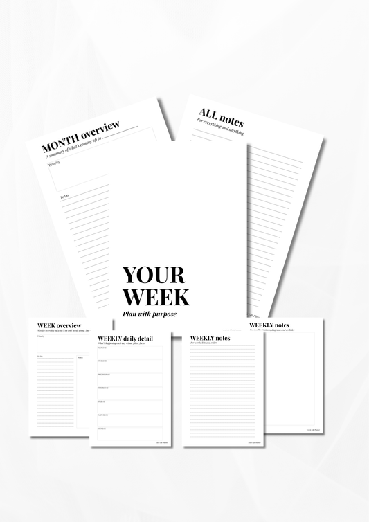 The Mini Planning System
